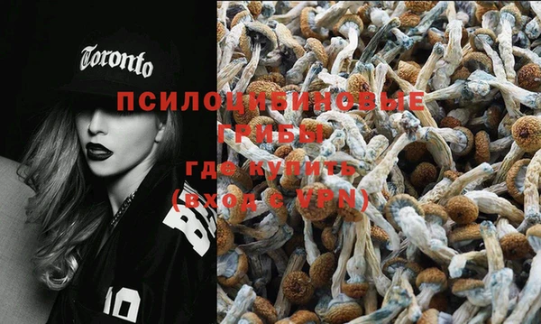 эйфоретик Зеленодольск