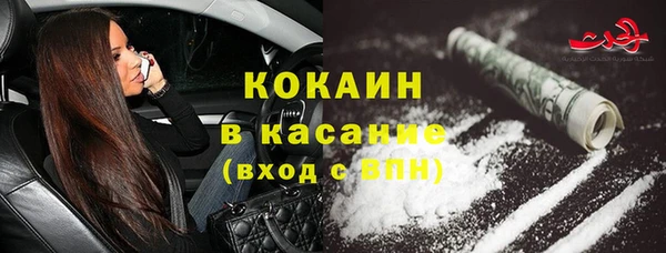 крисы Зерноград