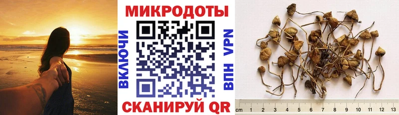 ОМГ ОМГ ССЫЛКА  Владикавказ  Галлюциногенные грибы ЛСД 